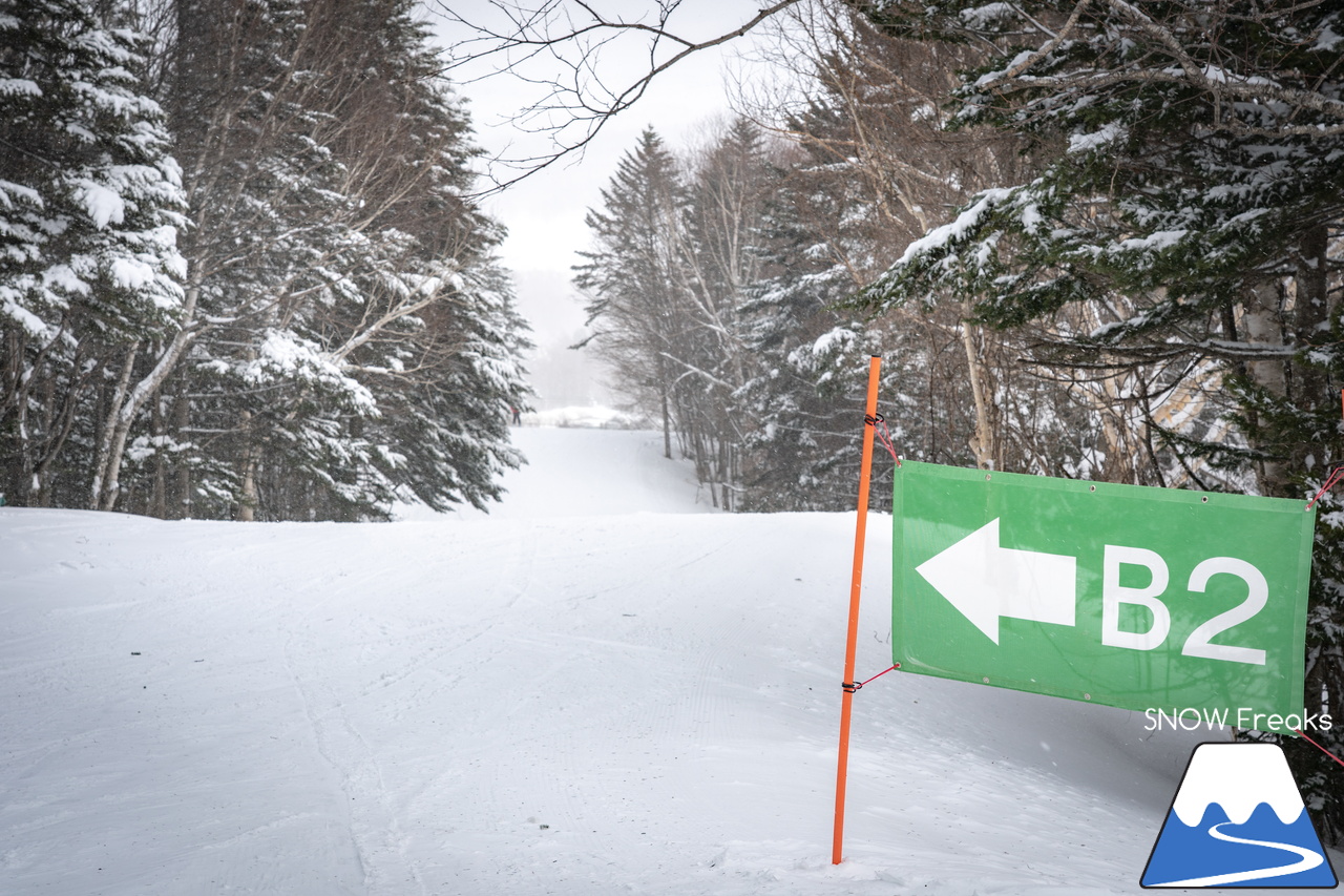 富良野スキー場｜スキーやスノーボードが初めての子供たちや初級者でも、ゲレンデの楽しさを味わえる工夫がいっぱい♪みんなに優しいスノーリゾート・富良野スキー場(^^)/
